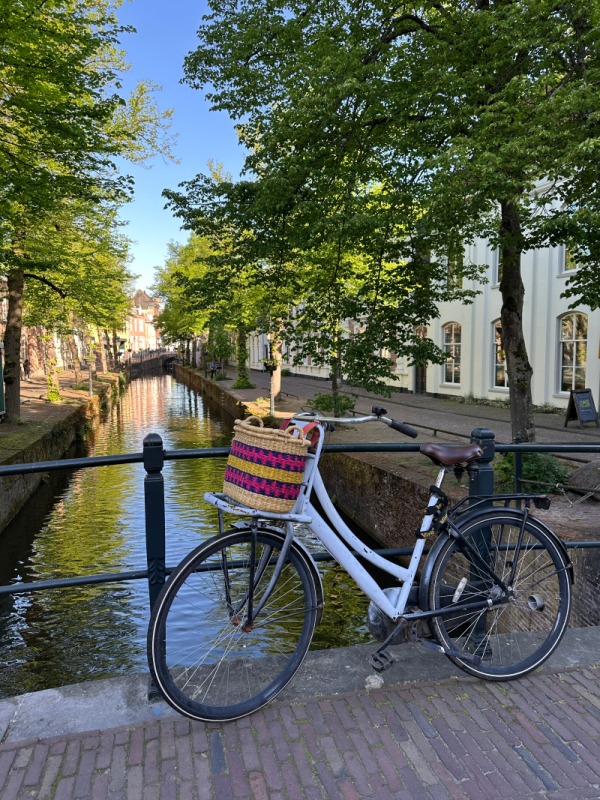 Fietsmand roze/blauw - Afbeelding 3