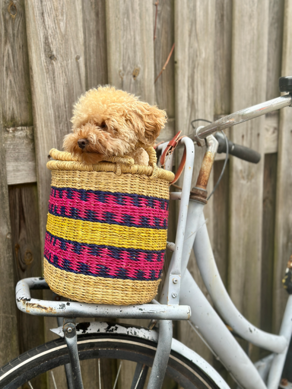 Fietsmand roze/blauw - Afbeelding 4