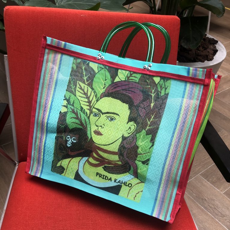 frida kahlo mesh bag